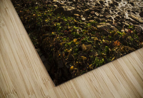 Seas of Lunawanna  Jorgo puzzle