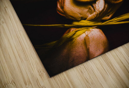 Button sack lollypop monsters Jorgo puzzle