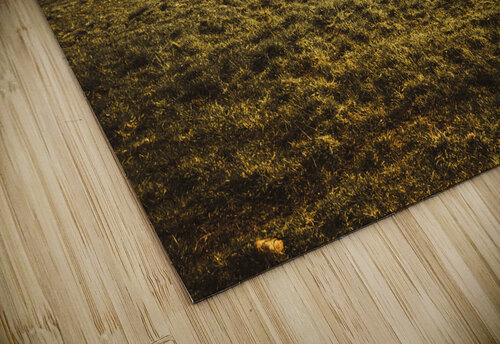 Open fields of Woodstock Tasmania Jorgo puzzle