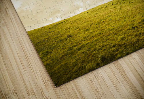 Single green tree in meadows of old Jorgo puzzle