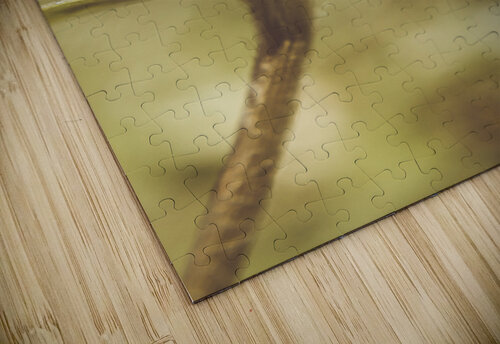 Ant ique  Jorgo puzzle