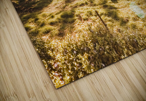 Meadows and mountains Jorgo puzzle