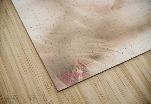 Dreamy eyes through wicker lines Jorgo puzzle