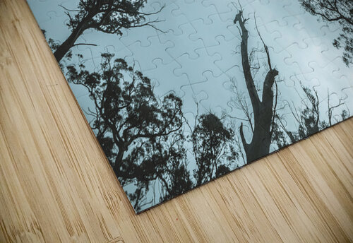 Midnight Canopy Jorgo puzzle