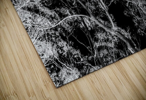 Of a elaborate design Jorgo puzzle