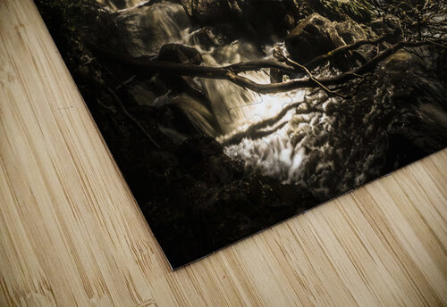 Tasmania wild Jorgo puzzle