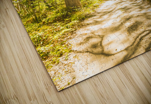 Island Avenue Jorgo puzzle