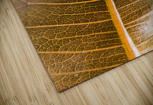 Natures intricacies Jorgo puzzle