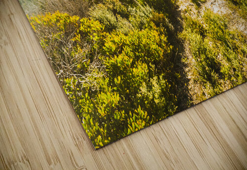 Misty ocean wilderness Jorgo puzzle