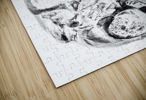 Skulls and dental records Jorgo puzzle