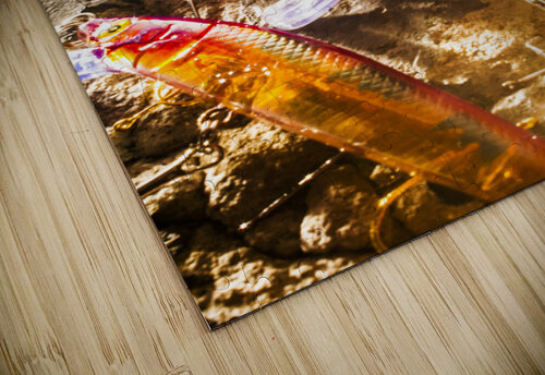 Fisheries and tackle Jorgo puzzle