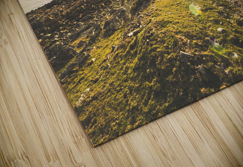 Routing western shores Jorgo puzzle