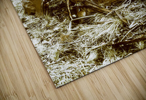 Rustic rural decay Jorgo puzzle