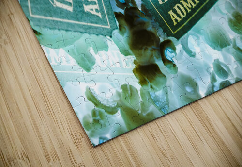 Pop top Jorgo puzzle