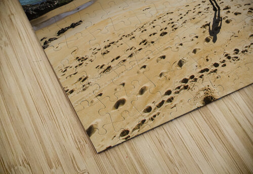 The lone explorer  Jorgo puzzle