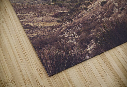 Glorious Gormanston Jorgo puzzle