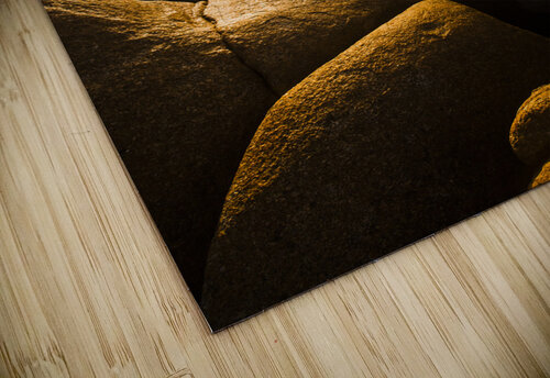 Sun bleached Australia beach Jorgo puzzle