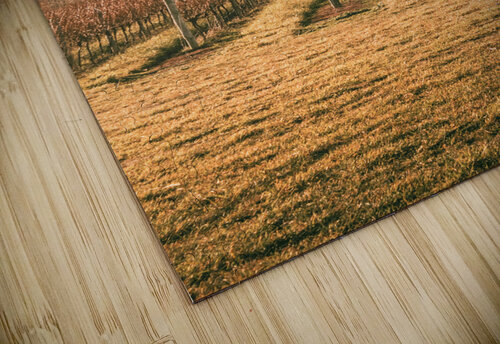 Cranbrook vineyard Jorgo puzzle