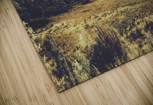 Sun bleached Australia Jorgo puzzle