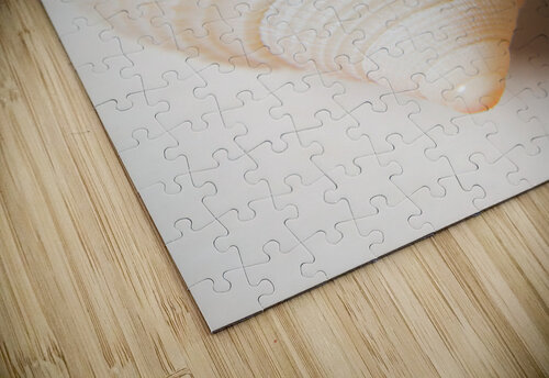 Nautical simplicity Jorgo puzzle