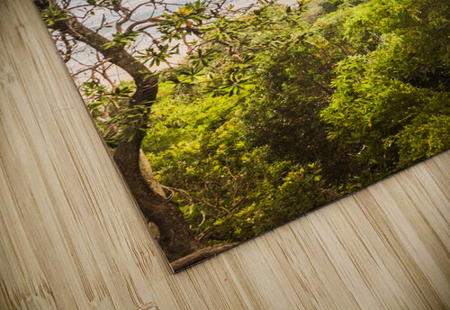 Paradisaical  Jorgo puzzle