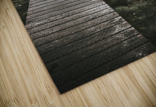 Dark dramatic winter landscape. Path of division Jorgo puzzle