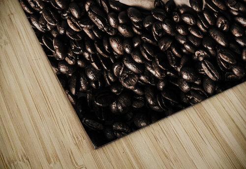 Bean dream Jorgo puzzle