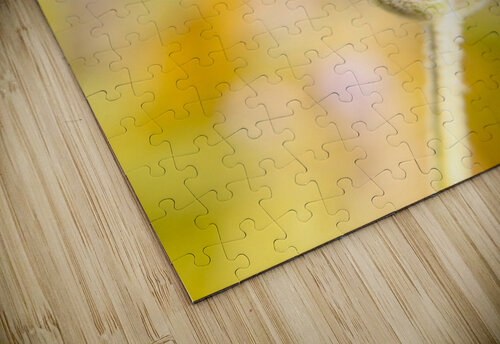 Lavender bee Jorgo puzzle