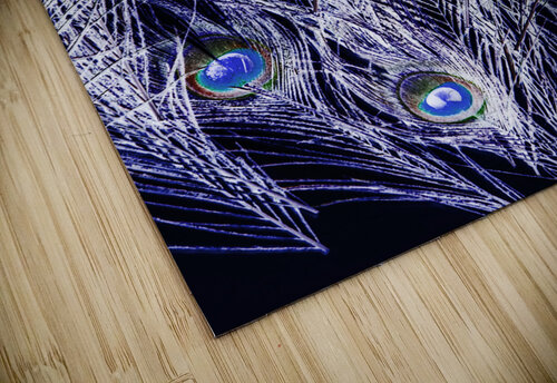 Midnights in dreamtime Jorgo puzzle