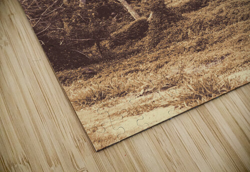 Old Woodery Jorgo puzzle