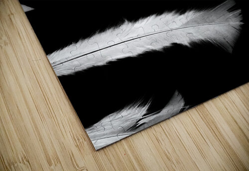 A different design Jorgo puzzle