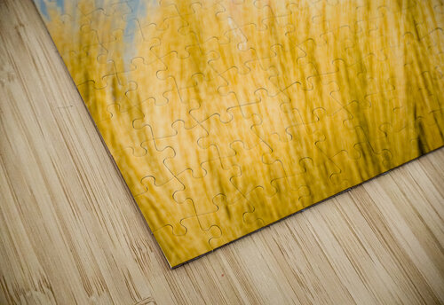 Cleaning Jorgo puzzle