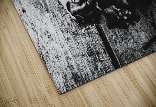 Casino hot streak  Jorgo puzzle