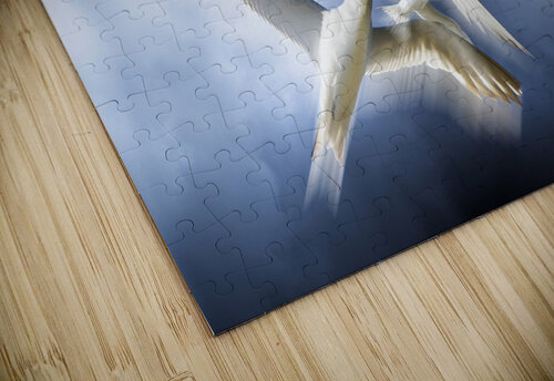 Freedom Jorgo puzzle