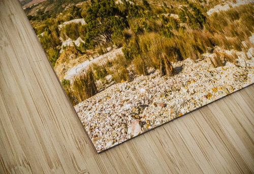 Regional ruggedness Jorgo puzzle