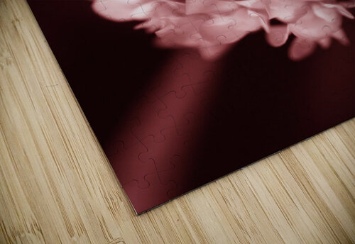 Clover Flower Jorgo puzzle