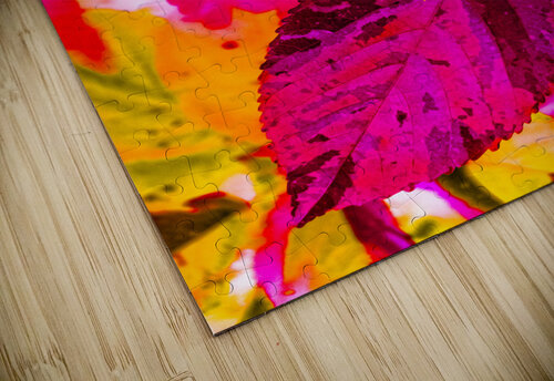 Color cluster Jorgo puzzle