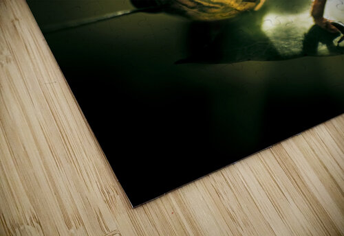 Leaf Bites Jorgo puzzle