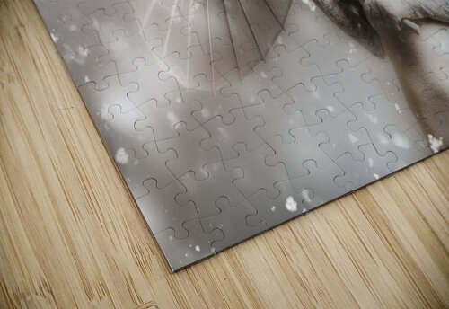 Dark vampire in a forsaken winter wonderland Jorgo puzzle