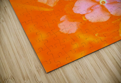 Tropical warmth Jorgo puzzle