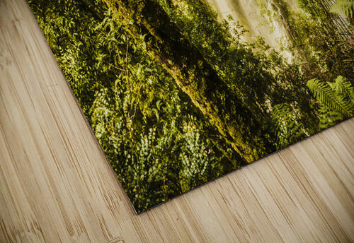 Philosopher Falls Western Tasmania Jorgo puzzle