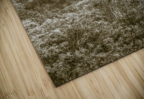 Misty mountains Jorgo puzzle