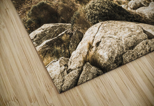 Bay of Fires Tasmania Australia Jorgo puzzle