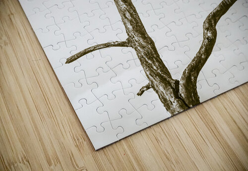 Deadwood Jorgo puzzle