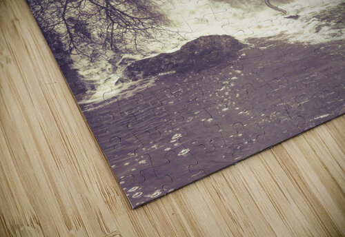 Imaginations wild Jorgo puzzle