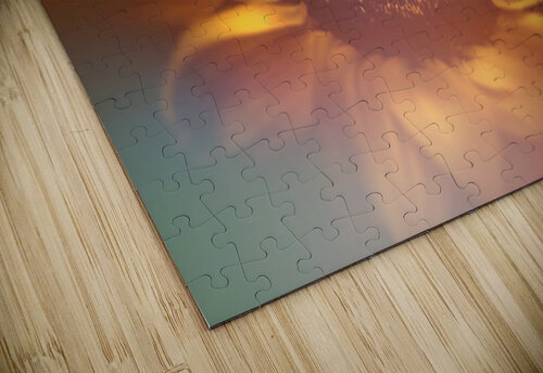 Flower flare Jorgo puzzle