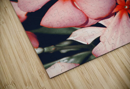 Flowering Pink Periwinkle Jorgo puzzle