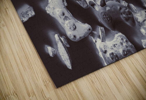 The playoff Jorgo puzzle