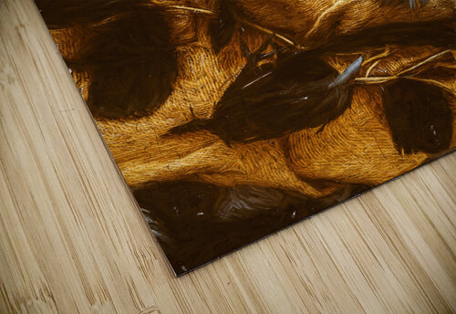 A crow too far Jorgo puzzle