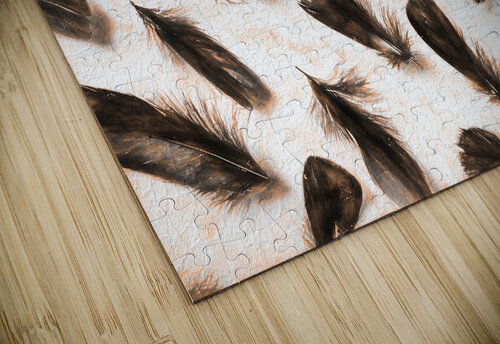 A feathery foray Jorgo puzzle